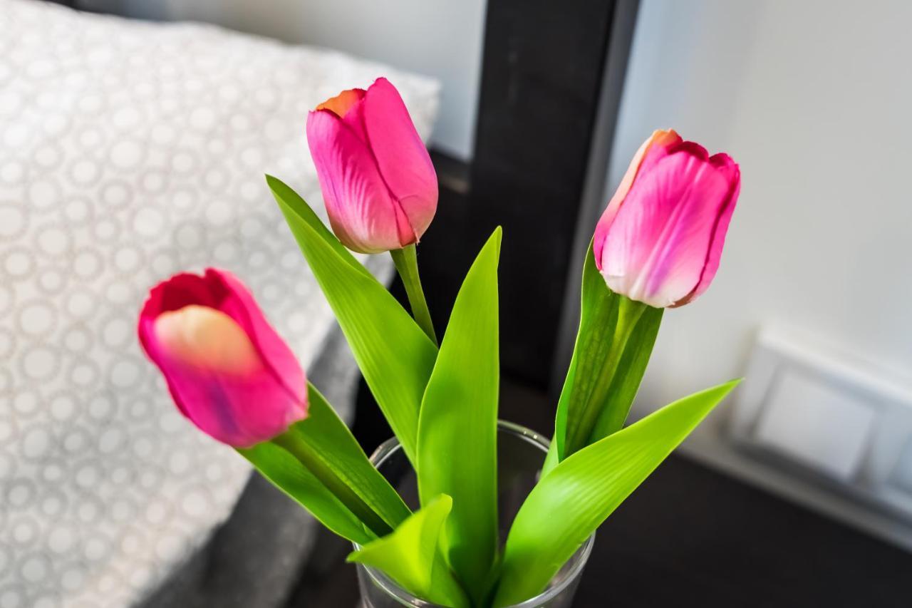 Cosy Studios In The Heart Of The City Budapest Exteriör bild